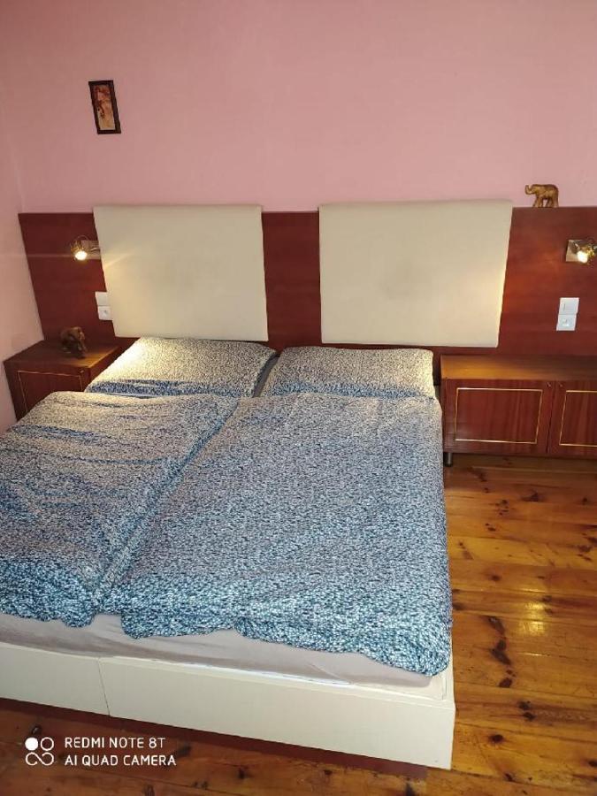 Penzion U Lipy Дечин Экстерьер фото