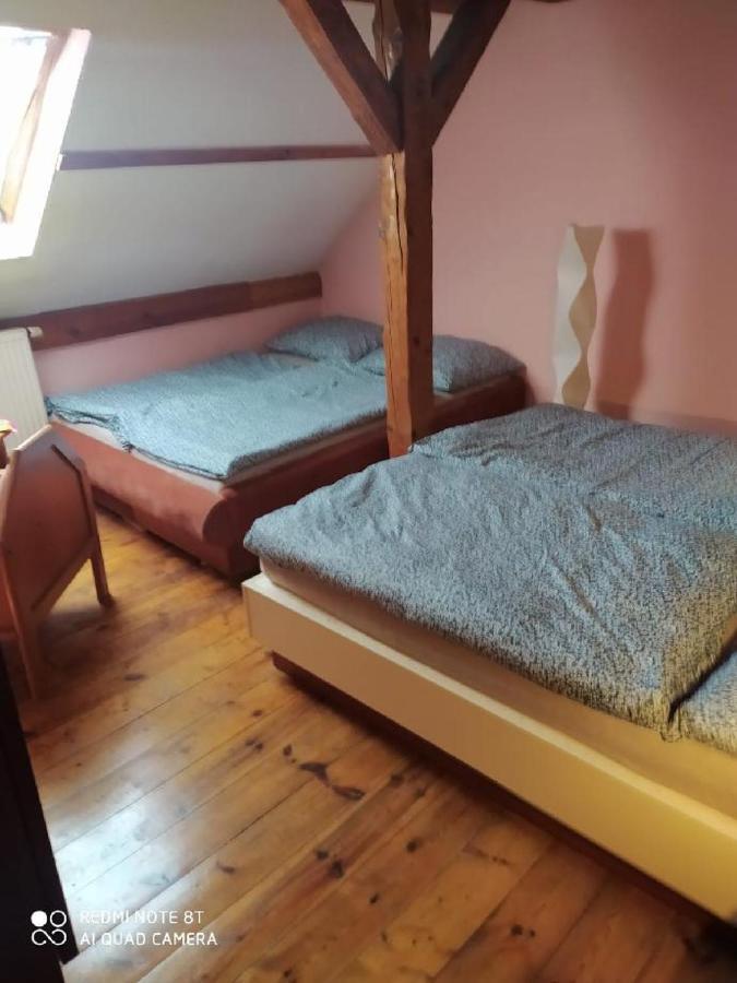 Penzion U Lipy Дечин Экстерьер фото