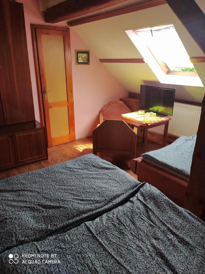 Penzion U Lipy Дечин Экстерьер фото
